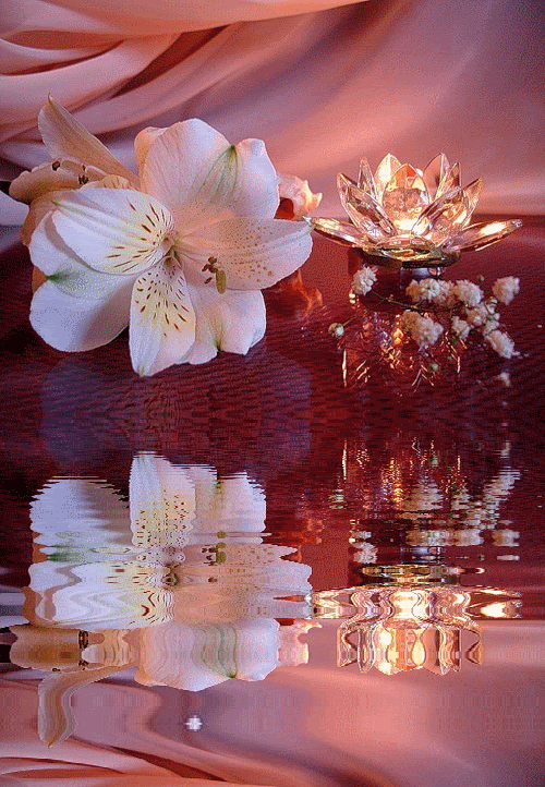 Reflected roses Graphics